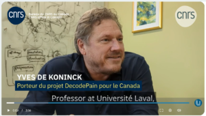 CNRS Canada. (2025, 12 mars). IRP DecodePain. [Vidéo]. Canal-U. https://doi.org/10.60527/247m-jt26. (Consultée le 13 mars 2025)